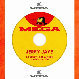 I Didn't Hear A Thing by Jerry Jaye