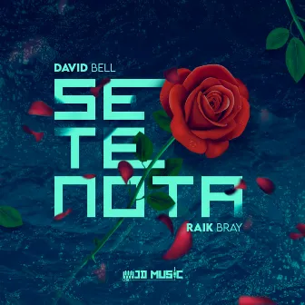 Se Te Nota by Raik Bray