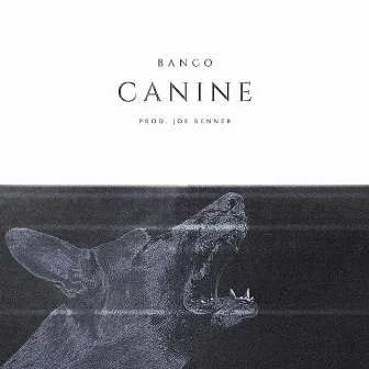 Canine by Banco