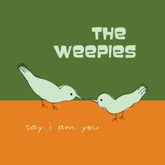 Say I Am You by The Weepies