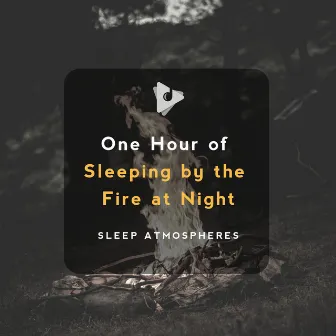 1 Hour of Sleeping by the Fire at Night by Deep Sleep ASMR