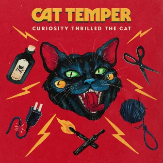 Curiosity Thrilled the Cat by Cat Temper