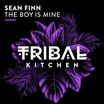 The Boy Is Mine by Sean Finn