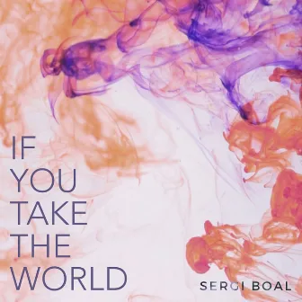 If You Take the World by Sergi Boal