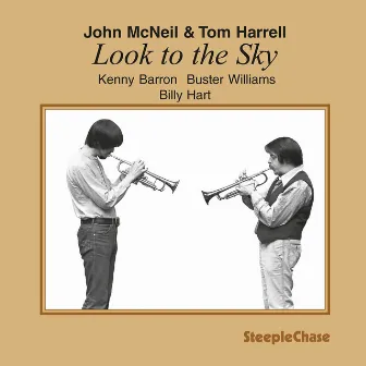 Look to the Sky by John McNeil