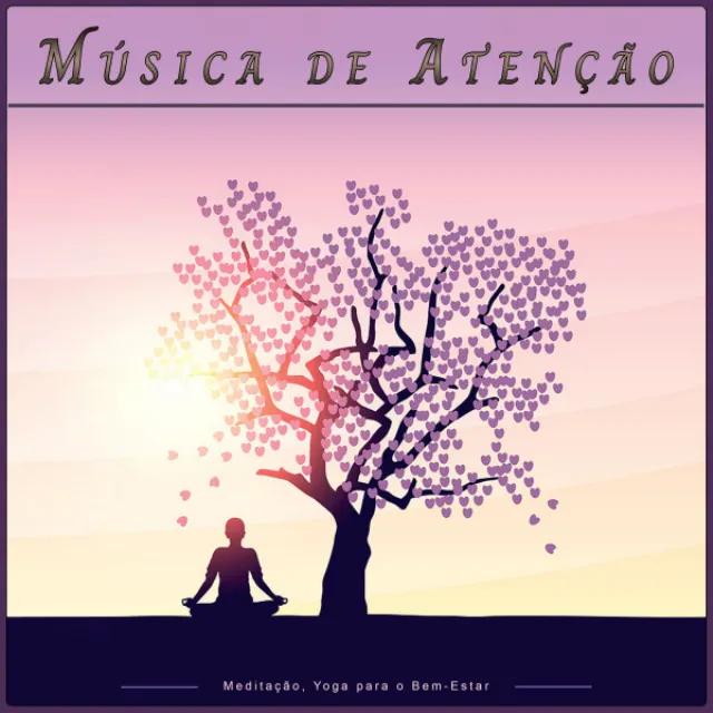 Música de Meditação Pacífica