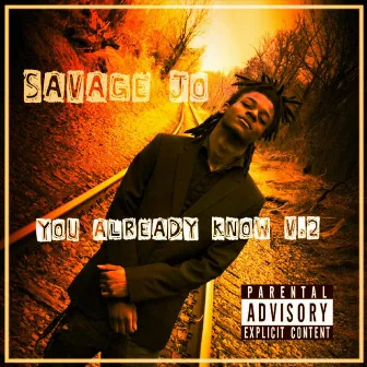 You Already Know, Vol. 2 by Savage Jo