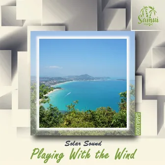 Playing With The Wind by Solar Sound