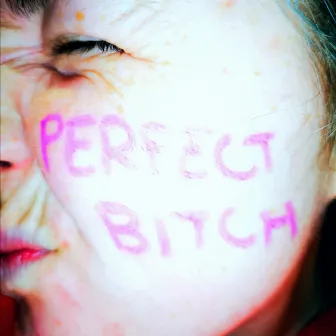 Perfect Bitch by Megan Tuck