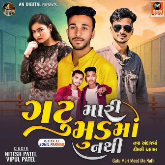 Gatu Mari Mood Ma Nathi by Vipul Patel