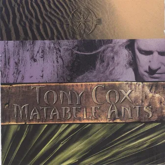 Matabele Ants by Tony Cox