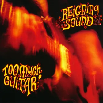 Too Much Guitar by Reigning Sound