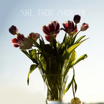 Noises by The Thor Thorsen