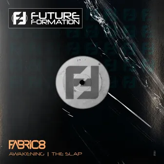 Awakening / The Slap by Fabric8