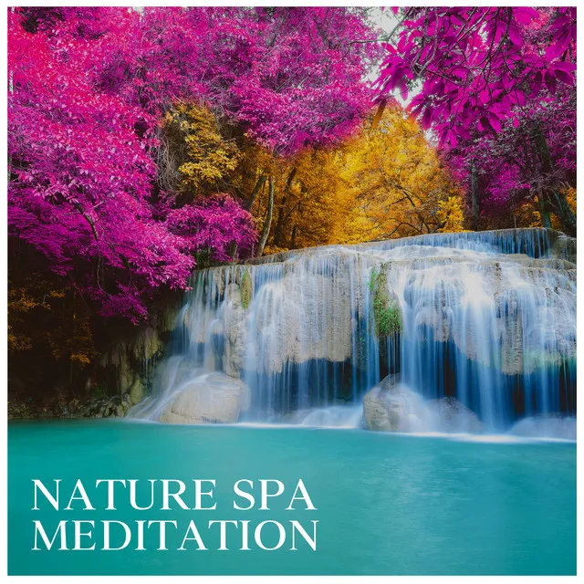 Nature Spa Meditation: Relaxing Spa Music Therapy for Stress Relief, Peaceful Atmosphere for Yoga and Relaxation