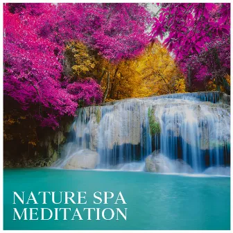 Nature Spa Meditation: Relaxing Spa Music Therapy for Stress Relief, Peaceful Atmosphere for Yoga and Relaxation by Spa Experience Chill