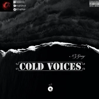 Cold Voices by NZ Gray