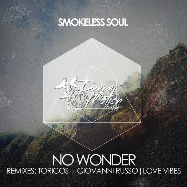 No Wonder - Toricos Remix