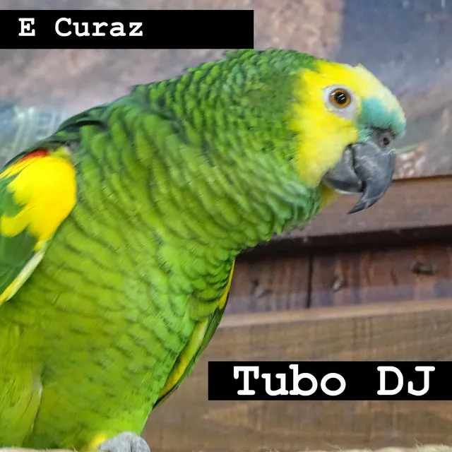 E Curaz