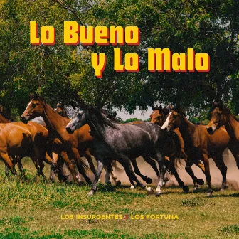 Lo Bueno y Lo Malo by Los Fortuna