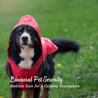 Binaural Pet Serenity: Ambient Rain for a Calming Atmosphere by Earth Frequencies and 432 Hz Frequencies