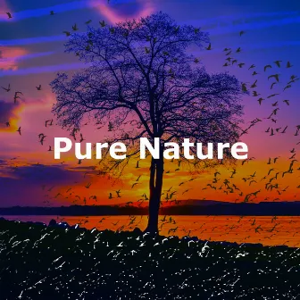 Pure Nature by 8k Sound Library