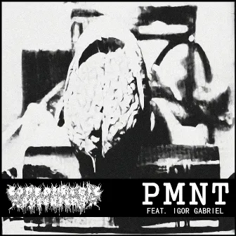 Split by PMNT