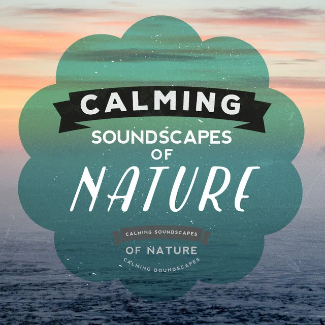 Calming Soundscapes of Nature