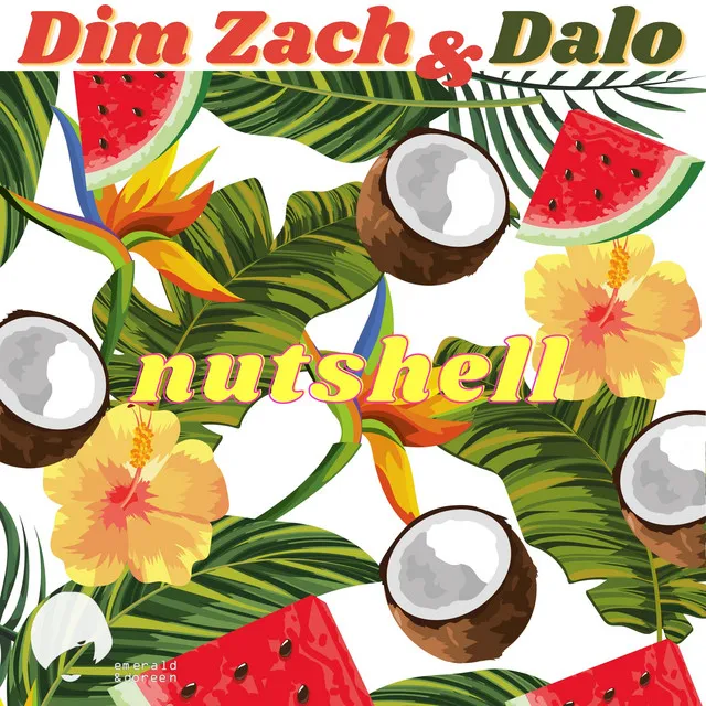 Nutshell - Dim Zach Mix