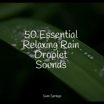 50 Essential Relaxing Rain Droplet Sounds by Deep Horizon Waves