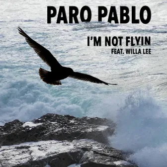 I'm Not Flyin' by Paro Pablo