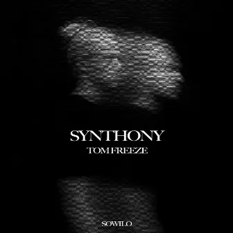 Synthony by Tom Freeze