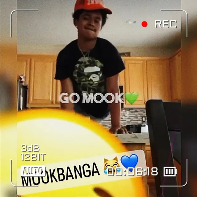 Go Mook! (Viral Song)