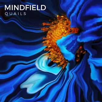 Mindfield - EP by Quails