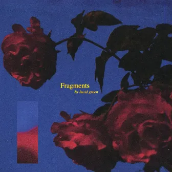 Fragments by Lucid Green