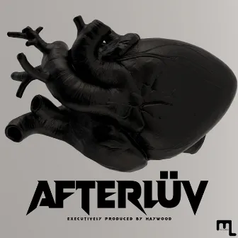 AFTERLÜV by Haywood