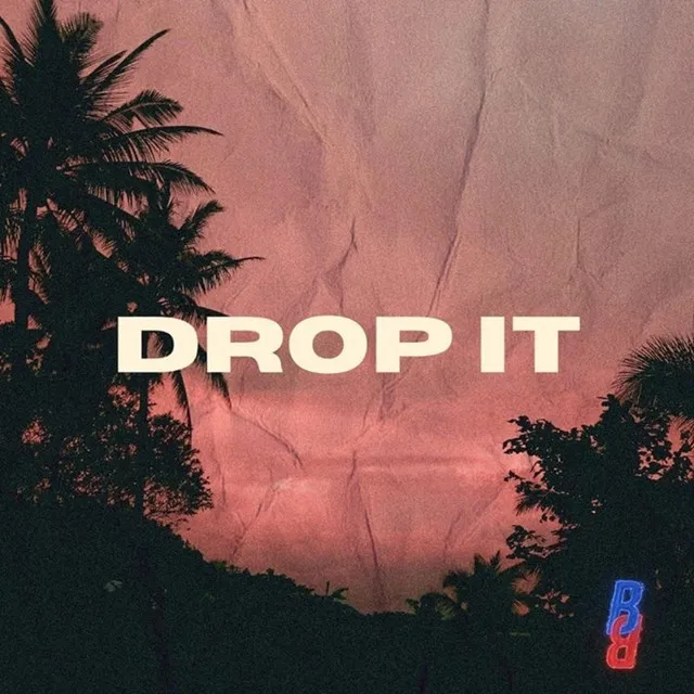 Drop It .