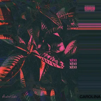 Carolina by Rashied Sabir