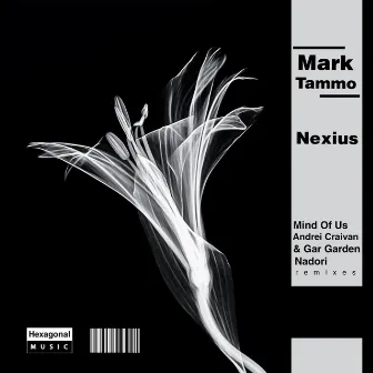 Nexius (Nadori Remix) by Mark Tammo