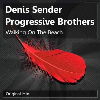 Walking On The Beach by Progressive Brothers