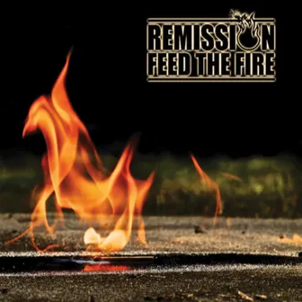 Feed the Fire by Remission