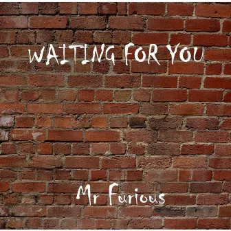 Waiting for You by Mr. Furious