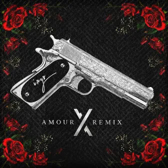 Amour X (Remix) by Irys