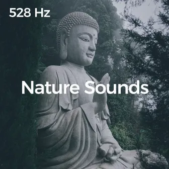 Calming Nature Sounds (528 Hz Solfeggio Meditation) by Healing Earth