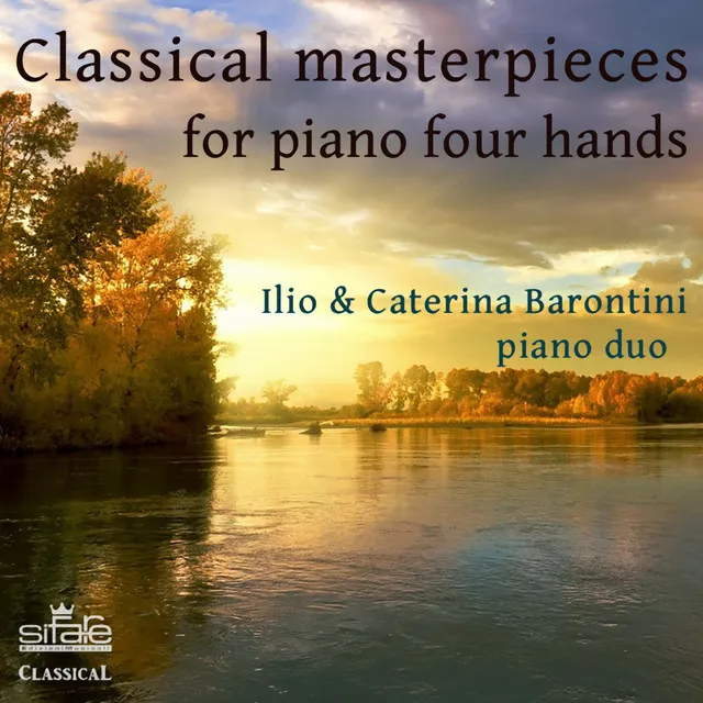 Sonata in D Major Op. 33: I. Allegro moderato