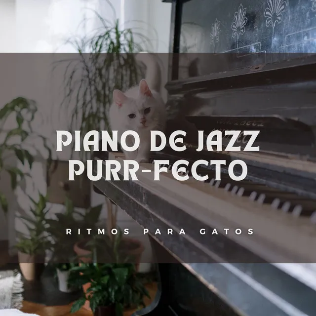 Piano De Jazz Purr-Fecto: Ritmos Para Gatos