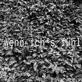 Wenn ich's fühl by claodz