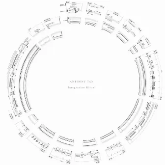 Integration Ritual by Anthony Tan