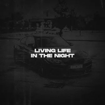 Living Life, In The Night by T3NZU