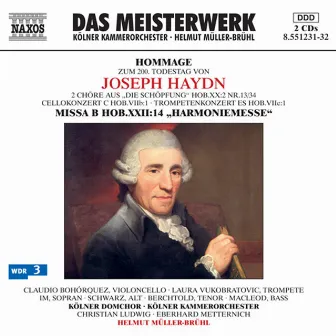 Hommage zum 200. Todestag von Joseph Haydn by Eberhard Metternich